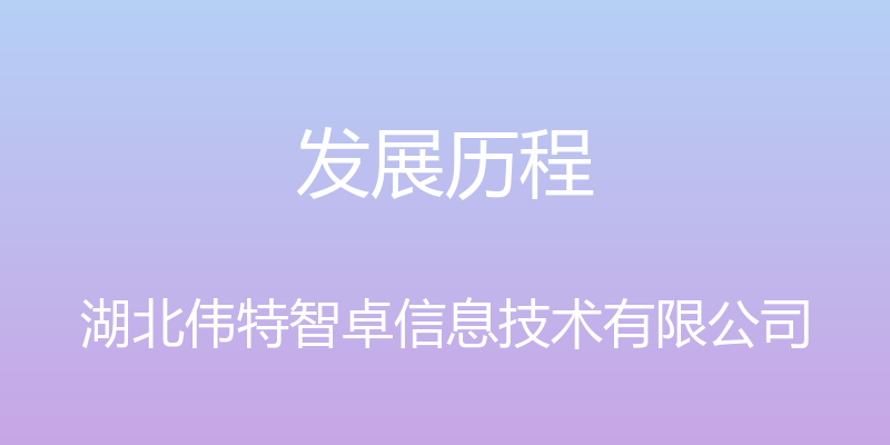 发展历程 - 湖北伟特智卓信息技术有限公司