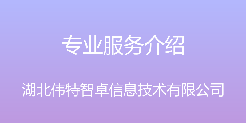 专业服务介绍 - 湖北伟特智卓信息技术有限公司