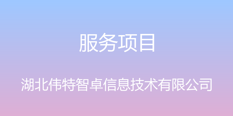 服务项目 - 湖北伟特智卓信息技术有限公司