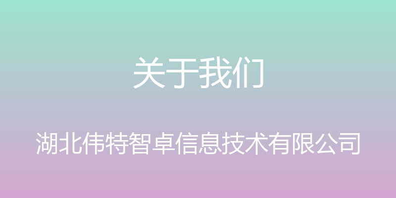 关于我们 - 湖北伟特智卓信息技术有限公司