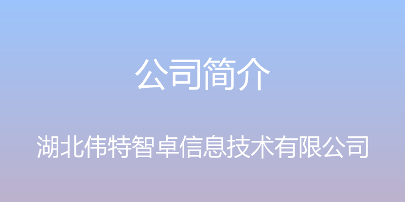 公司简介 - 湖北伟特智卓信息技术有限公司