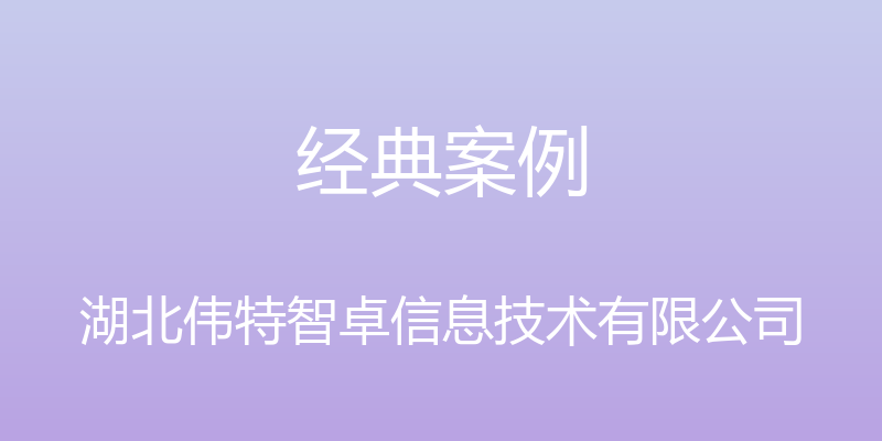 经典案例 - 湖北伟特智卓信息技术有限公司