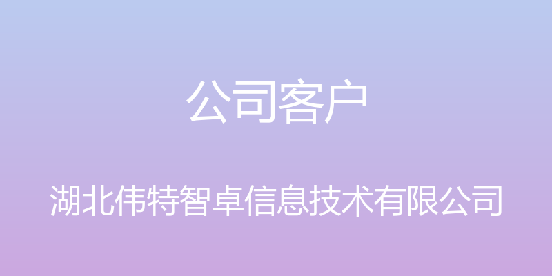 公司客户 - 湖北伟特智卓信息技术有限公司