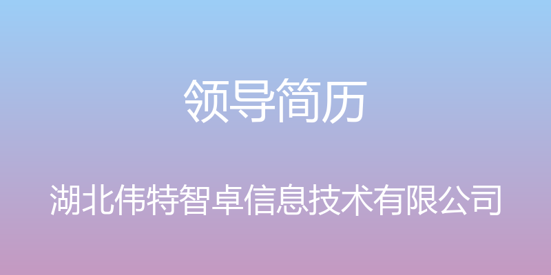 领导简历 - 湖北伟特智卓信息技术有限公司