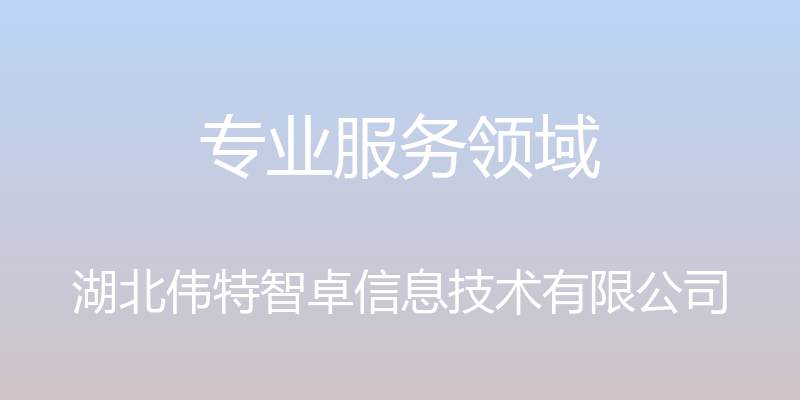 专业服务领域 - 湖北伟特智卓信息技术有限公司