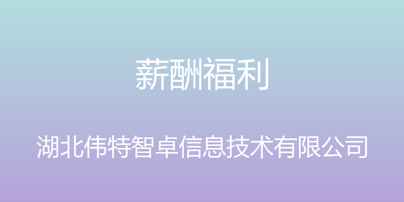 薪酬福利 - 湖北伟特智卓信息技术有限公司