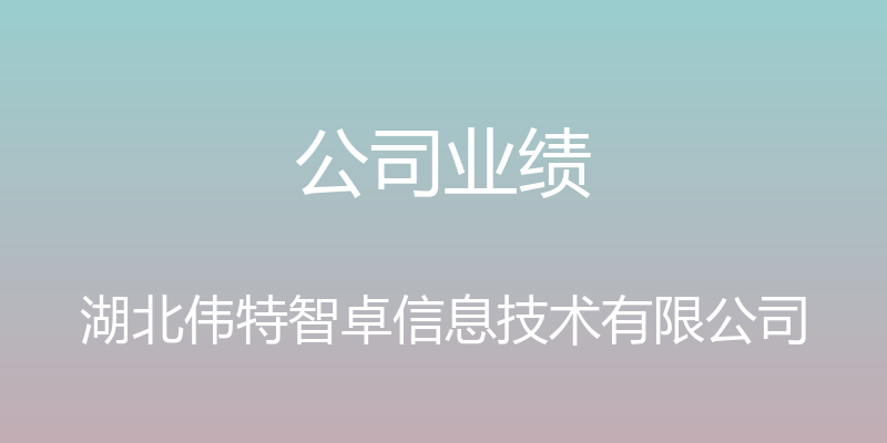 公司业绩 - 湖北伟特智卓信息技术有限公司