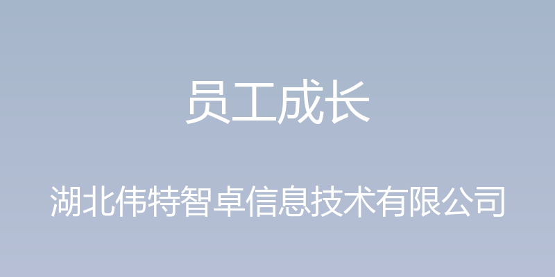 员工成长 - 湖北伟特智卓信息技术有限公司