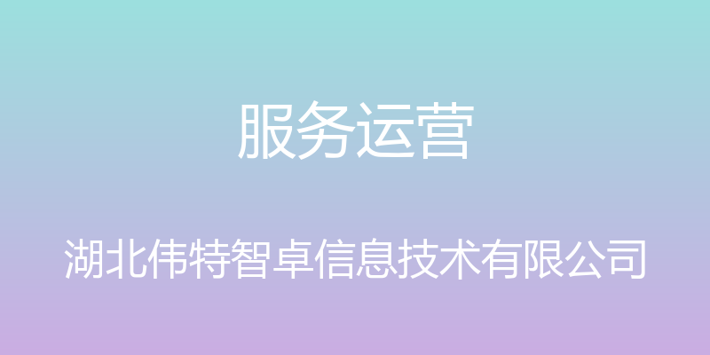 服务运营 - 湖北伟特智卓信息技术有限公司