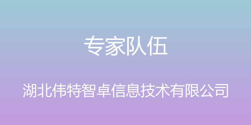 专家队伍 - 湖北伟特智卓信息技术有限公司